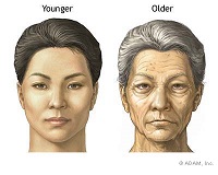 Myths Of Aging